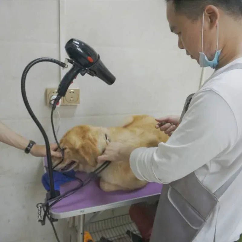 Adjustable Pet Dryer Stand