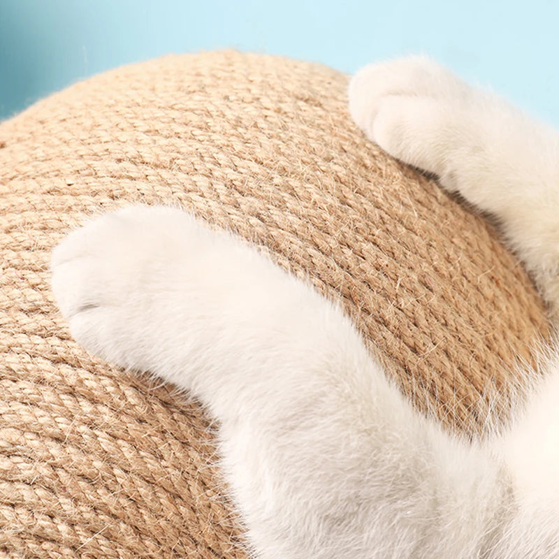 Cat Scratcher Ball for Kittens