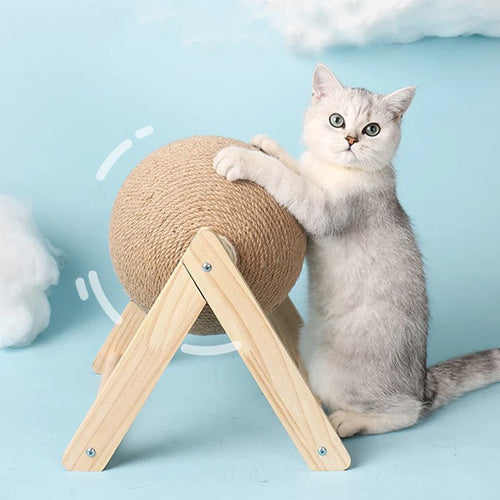 Cat Scratcher Ball for Kittens