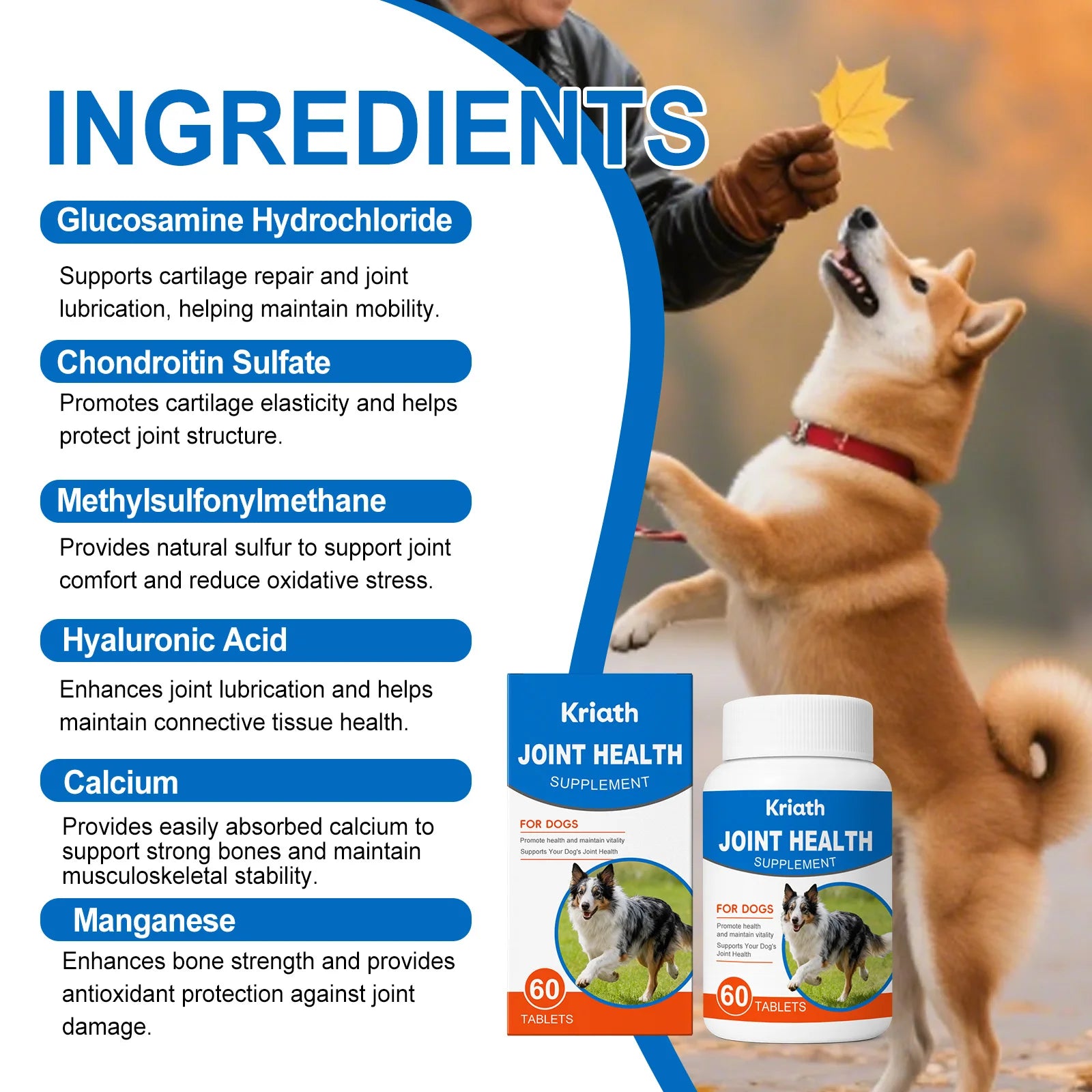 Mobility Boost Dog Supplement