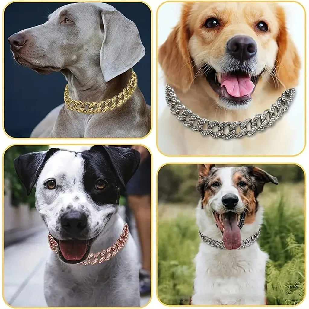 New Style Pet Collar