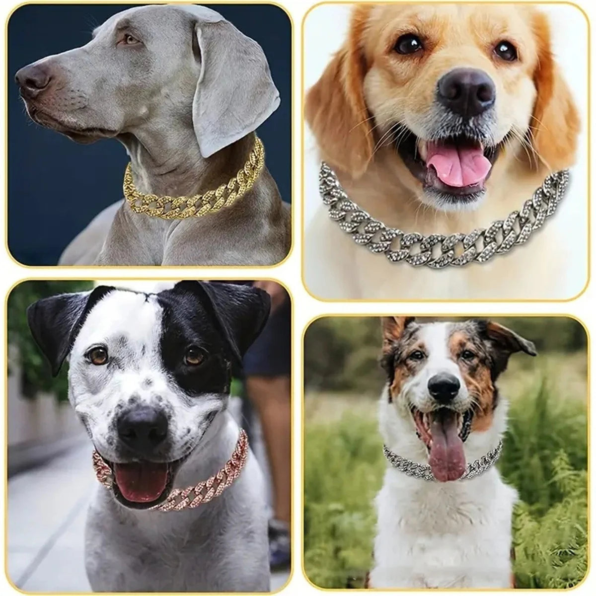 New Style Pet Collar