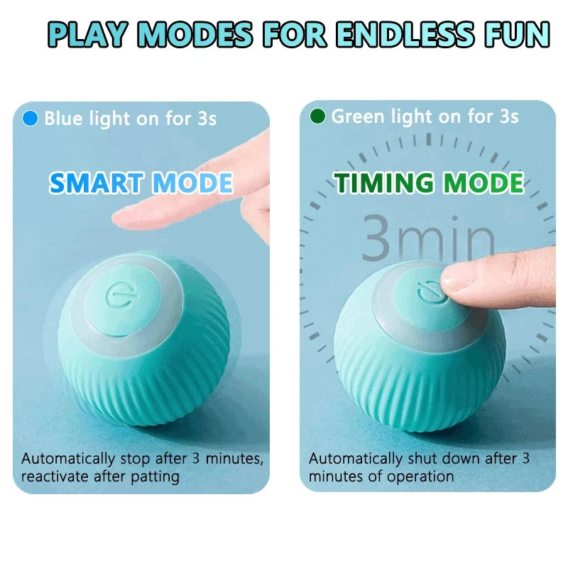 Magic Rolling Ball for Indoor Cats