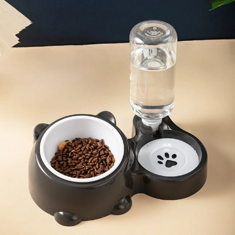 Cat & Dog Feeding Combo Bowl