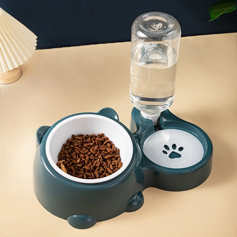 Cat & Dog Feeding Combo Bowl