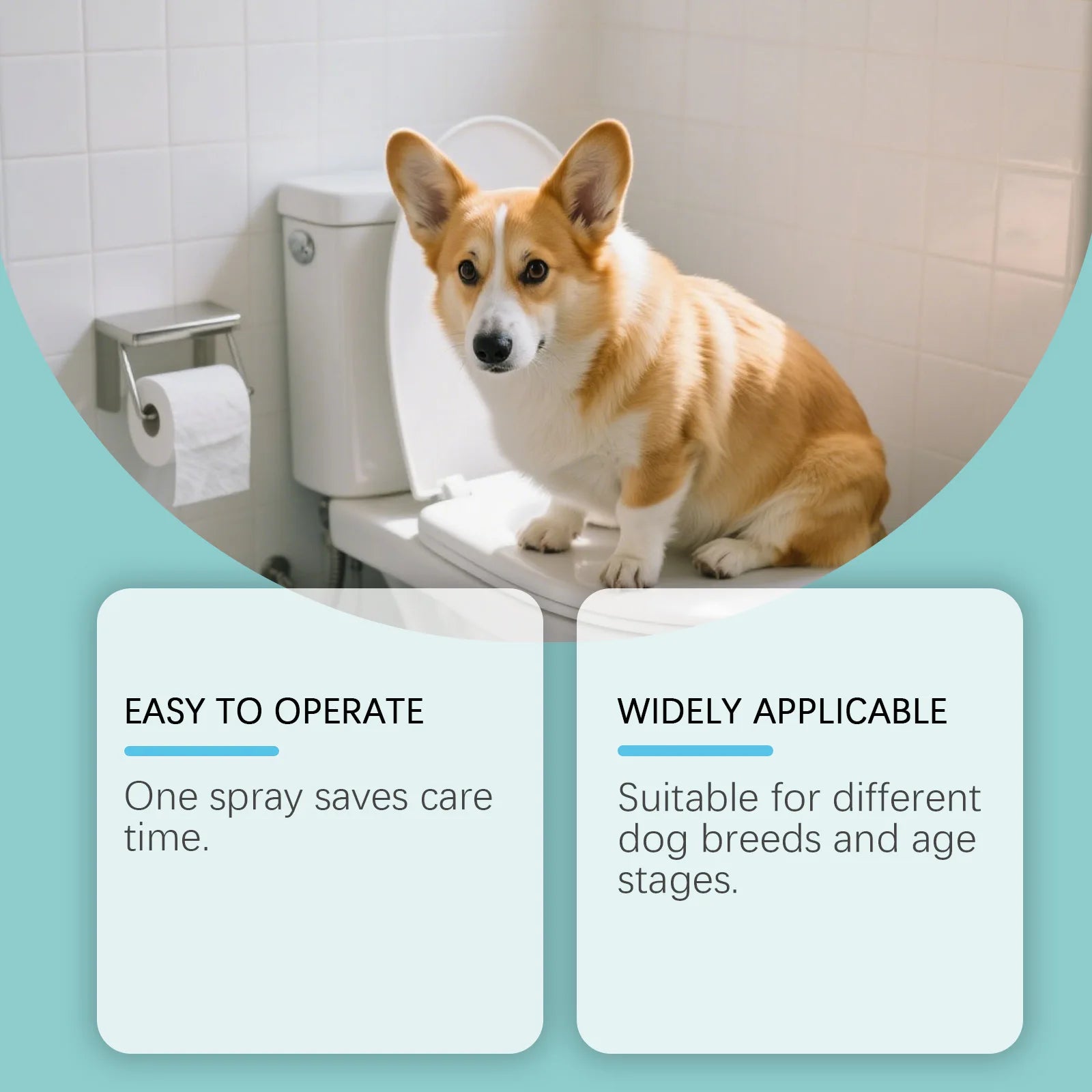 Pet Behavior Training Spray