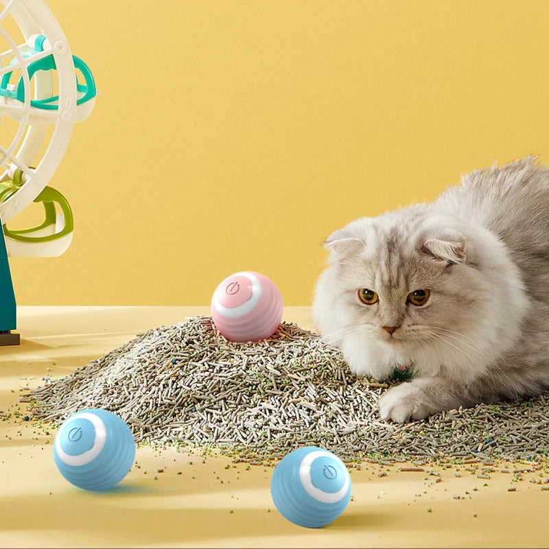 Magic Rolling Ball for Indoor Cats
