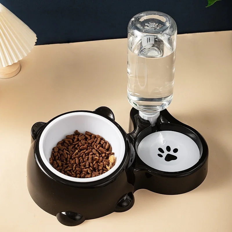 Cat & Dog Feeding Combo Bowl
