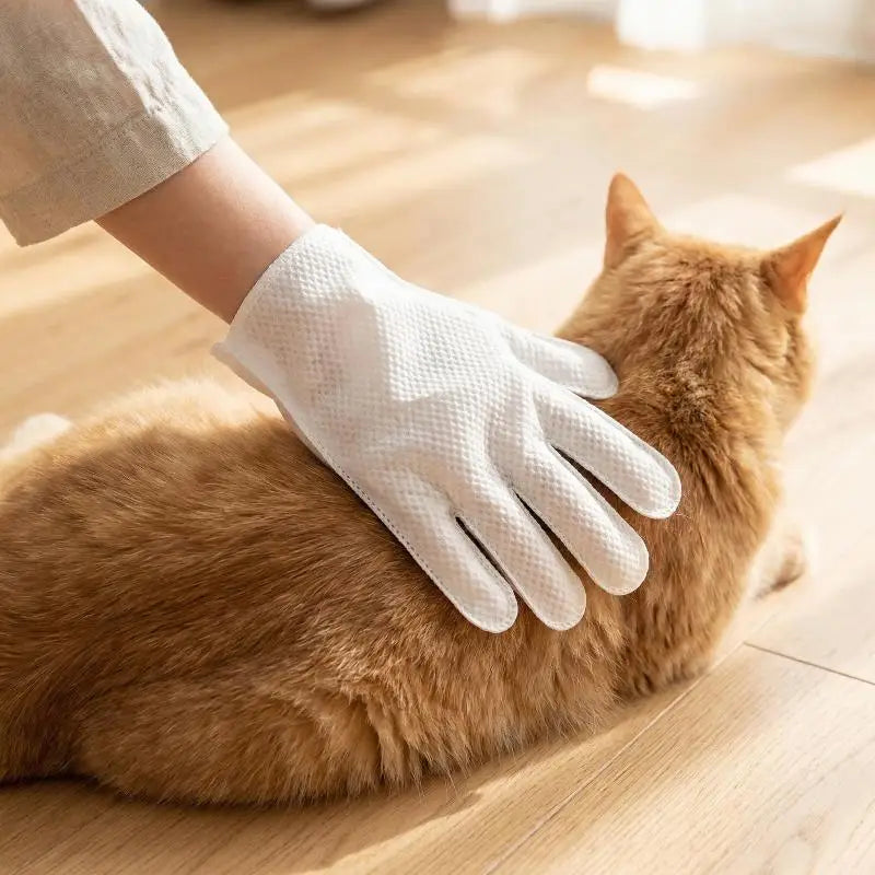 Pet Cleaning & Grooming Gloves