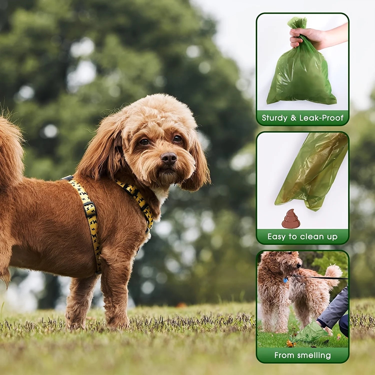Paw Print Pet Cleanup Bags