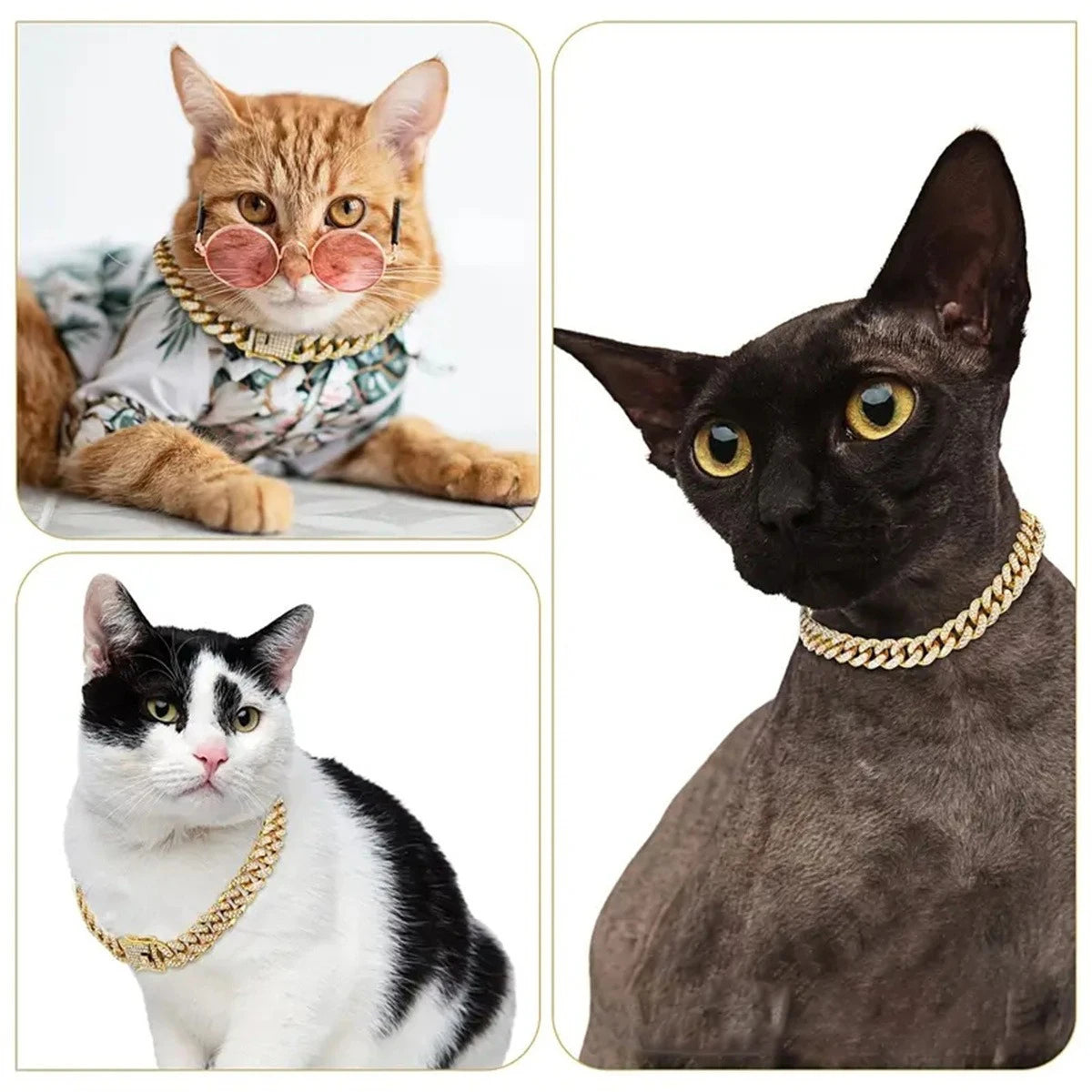 New Style Pet Collar