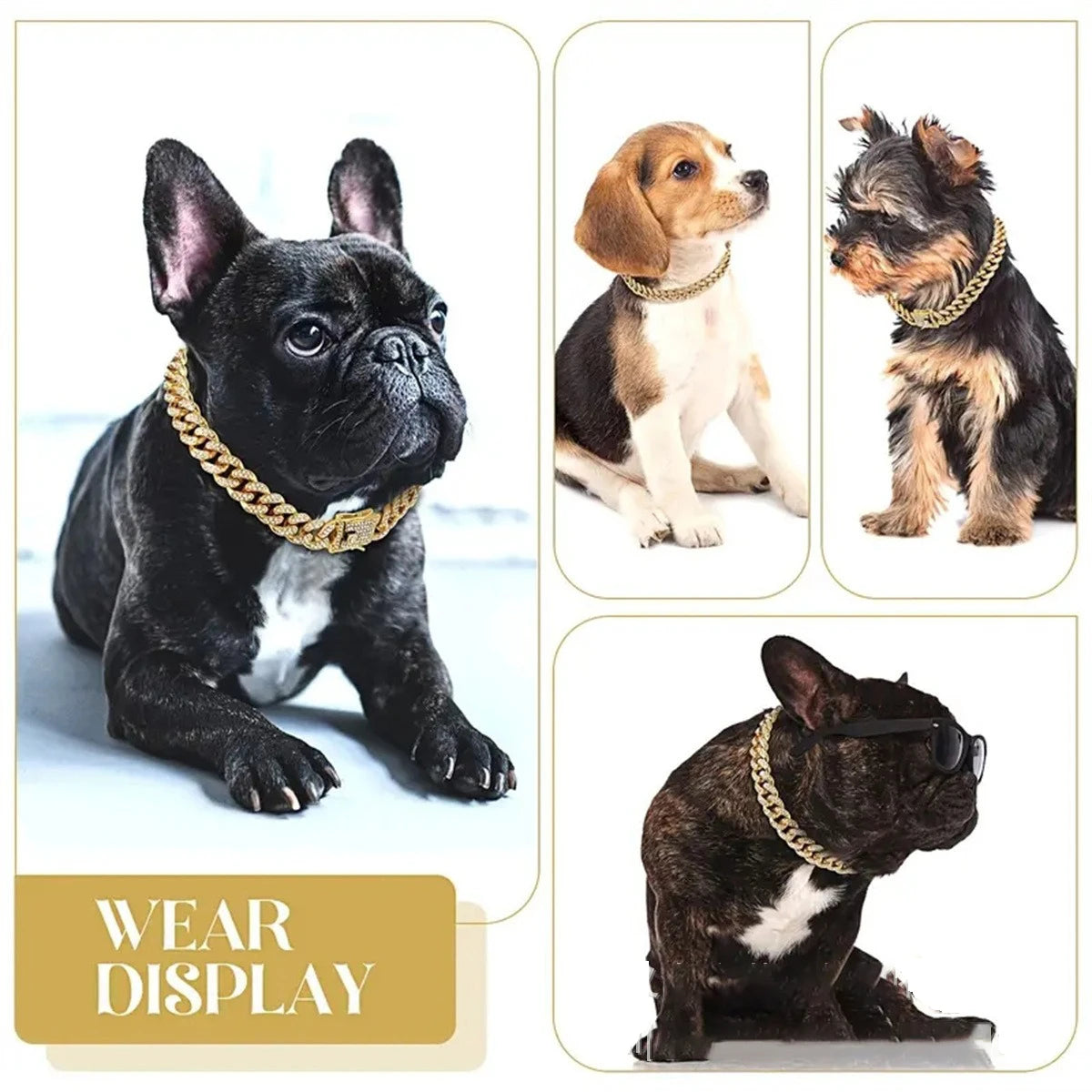New Style Pet Collar