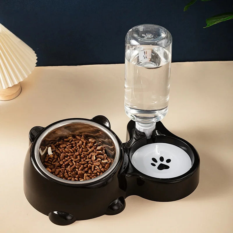 Cat & Dog Feeding Combo Bowl
