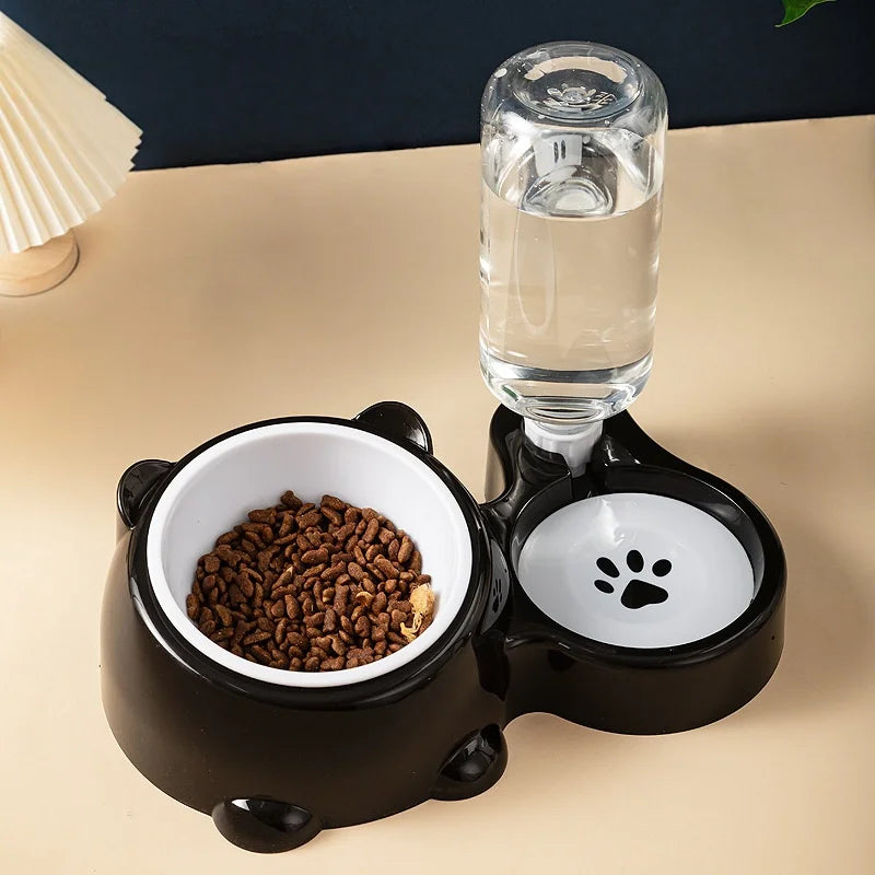 Cat & Dog Feeding Combo Bowl