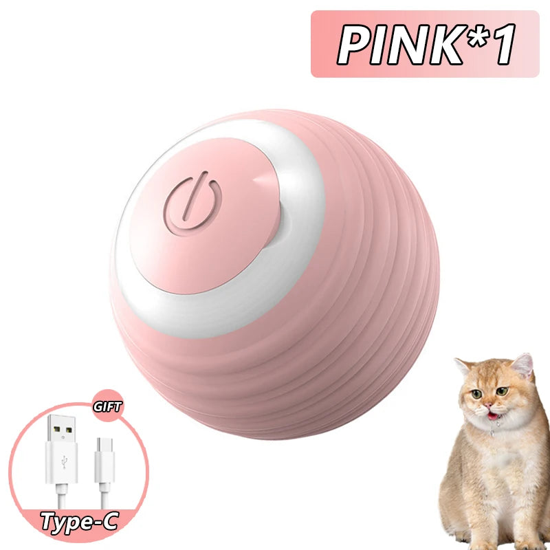 Magic Rolling Ball for Indoor Cats
