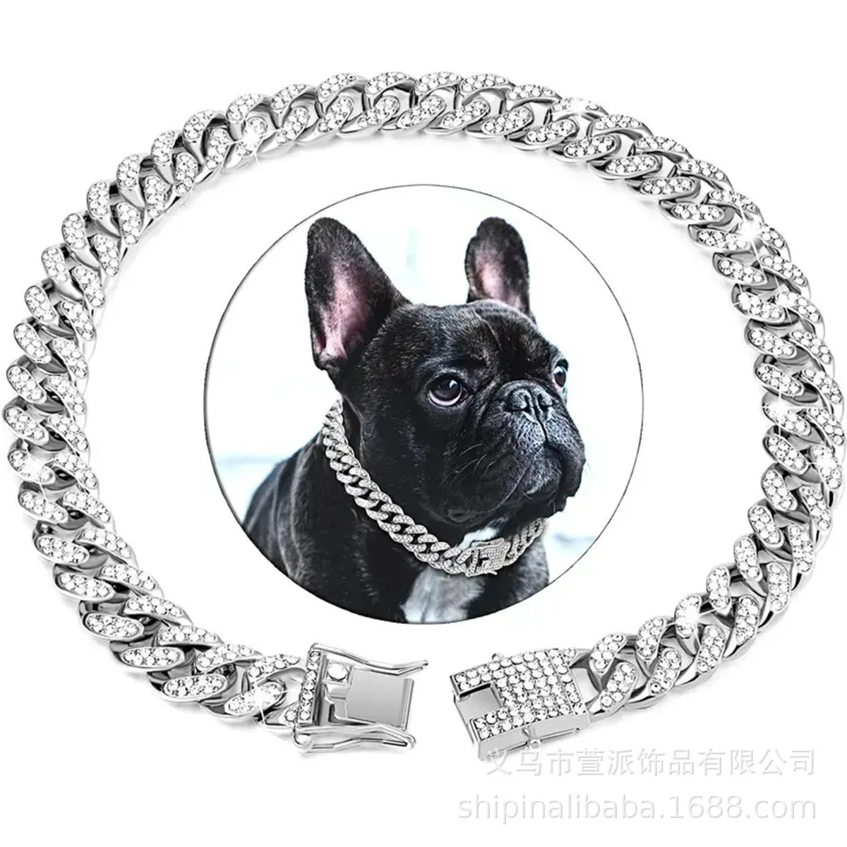 New Style Pet Collar