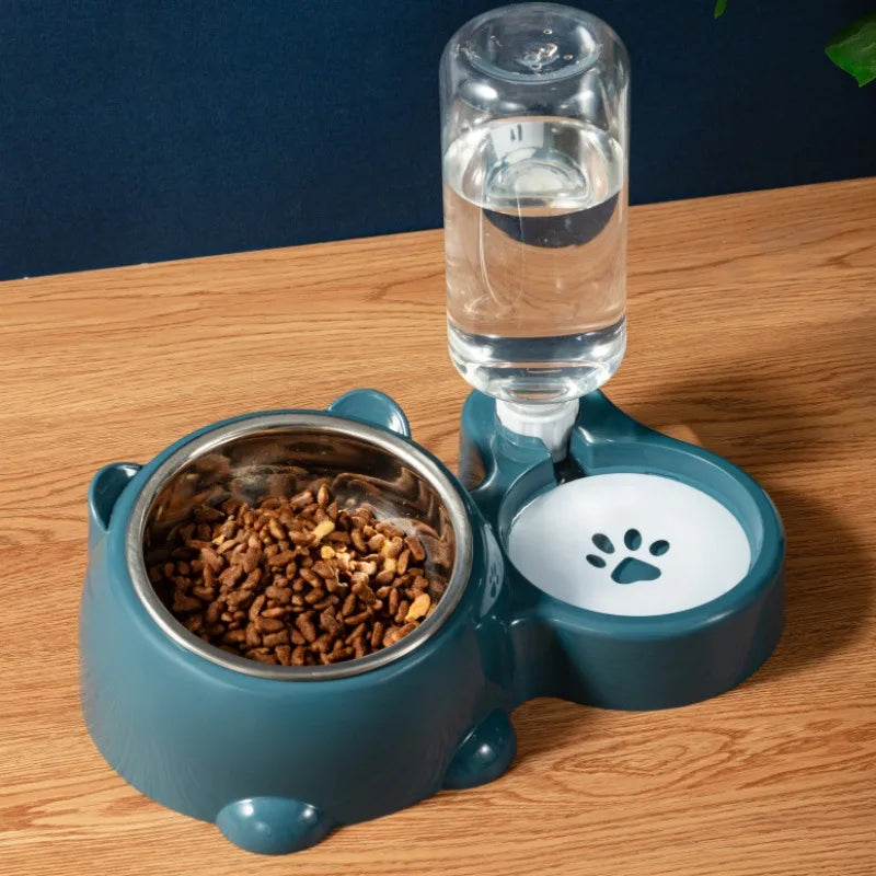 Cat & Dog Feeding Combo Bowl