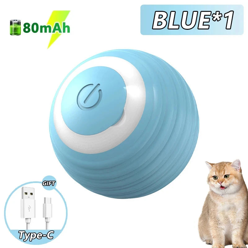 Magic Rolling Ball for Indoor Cats